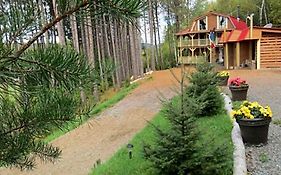 La Maison Sous Les Arbres